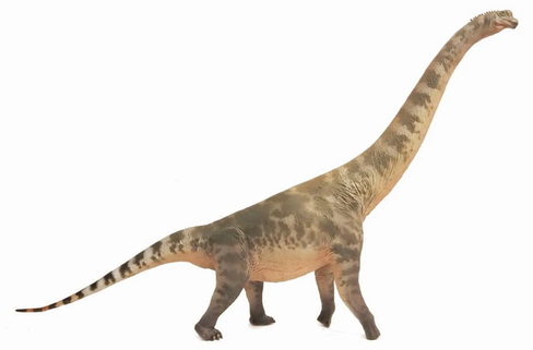 Haolonggood - Brachiosaurus "Du Qian" #158 - Manufacturer Image right side View